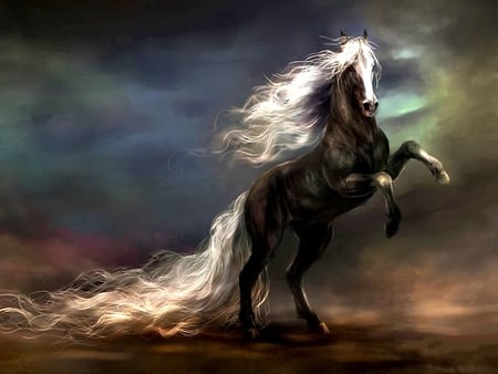 WILDFIRE - white, tail, horse, mane, black