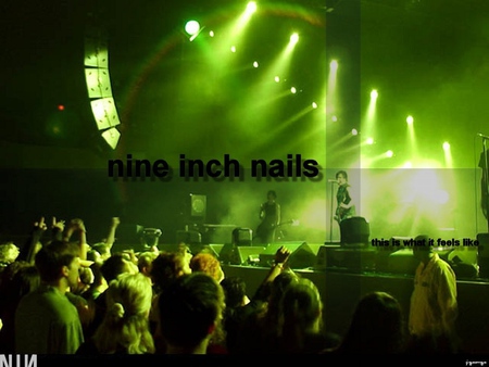 Nine Ichn Nails - music, nine ichn nails, wallpaper