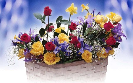 Flowers - flowers, basket