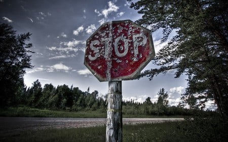 Stop - clouds, red, forest, traffic sign, sky