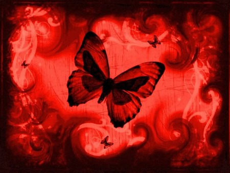 background 132.jpg - butterfly, lovely, romantic, red