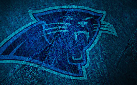 Carolina Panthers - leather, professional, logo