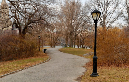 Park - park, lamp, trees