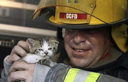 Saved Me! - kittens, photography, cats, firemen, animals