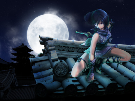 Ninja - Moon light - sword, roof top, moon, female, anime, japanese, ninja