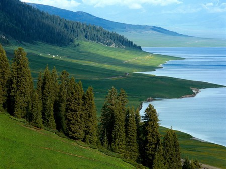 amazing landscape in china - trees, nature, rivers