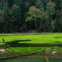 amazing landscape in china 0864