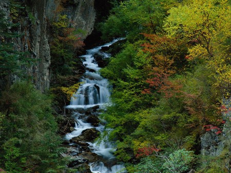 amazing landscape in china 0870 - china, trees, waterfall