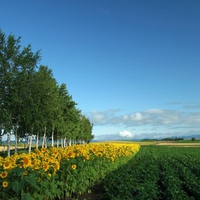 japan-hokkaido0147