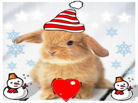 MARRY CHRISTMAS - women, cartoon, water, heart, colour, road, love, fentasy, animal, funny, red, cute, 3d, romence, hearts