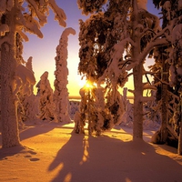 Sunset snow