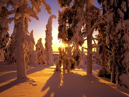 Sunset snow - woman, sunset snow, hot