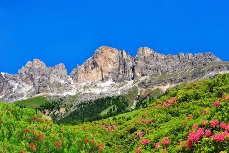 The Italian dolomites - hills, summer, beautiful, dolomites, grass, mountain, wildflowers, Italy, sky, rocks