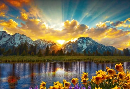 Grand Tetons and reflection - rays, lake, sky, mountain, sunset, reflection, fiery, beautiful, sunrise, wildflowers, grand teton