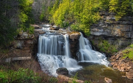 Blackwater Falls - river, forest, waterfall, America