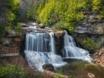 Blackwater Falls