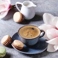 Coffee, Macaroons and Magnolia