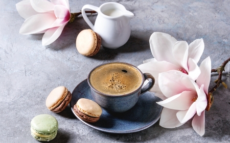 Coffee, Macaroons and Magnolia - photo, coffee, magnolia, macaroons