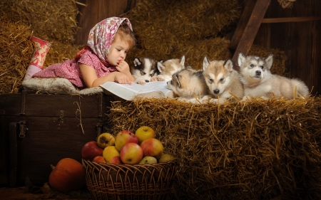 Girl and Puppies - huskies, girl, apples, puppies