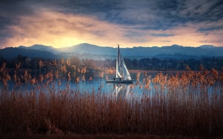 Yacht on Lake - yacht, lake, sailboat, reeds