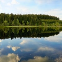 Tanner Moor, Austria