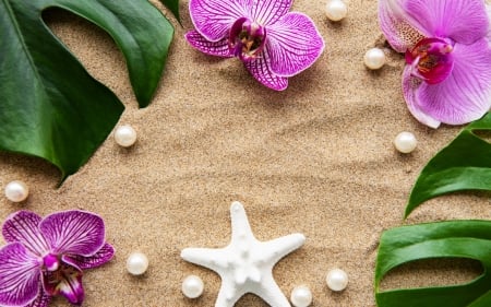 Happy Summer! - summer, orchid, strafish, flower, pink, sand, white, green, leaf, vara