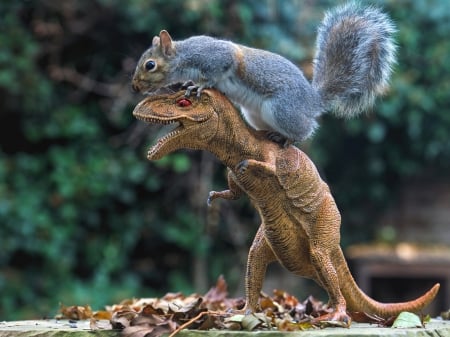 :D - veverita, squirrel, figurine, toy, funny, max ellis, dinosaur, animal, rider