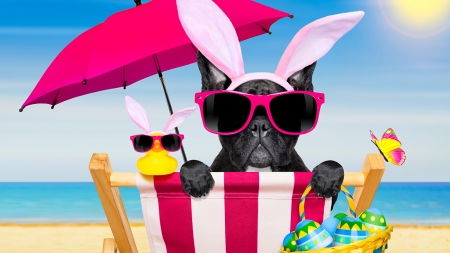 Happy Easter! - easter, basket, funny, black, bunny, ears, pink, blue, umbrella, dog, card, egg