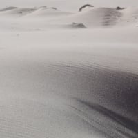 Windblown Beach Dunes