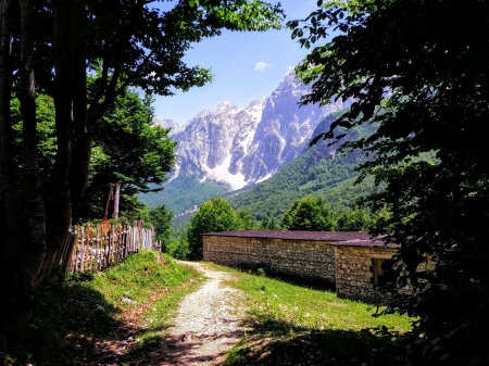 Mountains landscape - hedge, mountains, road, house, trees