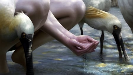 â™¥ - pasari, art, water, fantasy, bird