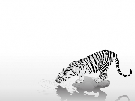 :) - fantasy, tiger, water, black, bw, minimalistic, tigru