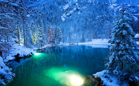 Winter Lake - Snow, Nature, Switzerland, Spruce, Forest, Winter, Lake