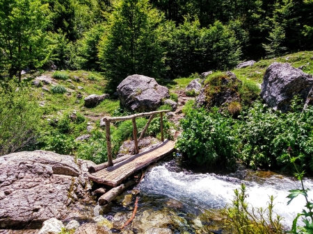 little bridge - stouns, bridge, trees, river