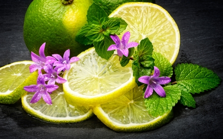 still life - flowers, nature, photography, still life, lemon