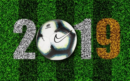 CONMEBOL Copa AmÃ©rica Brasil 2019 - nike, 2019, ball, grass, copa america, soccer, logo