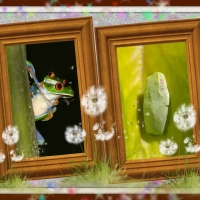 FROGS FRAMED