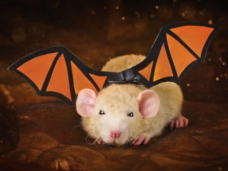 Happy Halloween! - rat, rodent, bat, wings, halloween, mouse, orange, diane ozdamar