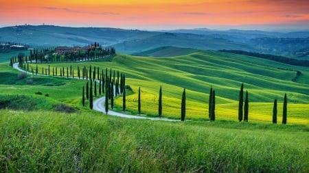 BEAUTIFUL LANDSCAPE - nature, road, present, grass, leaves