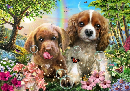 Puppies - fantasy, bubbles, dog, caine, adrian chesterman, puppy, flower, luminos