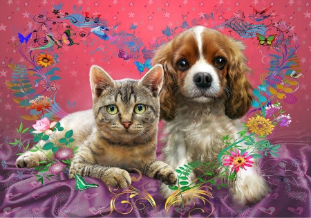 Cat and dog - dog, adrian chesterman, pink, cat, pet, animal, pisici, caine, couple