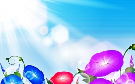 Morning Glory - Flowers, Sky, Sunlight, Abstract