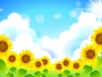 Flower background