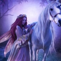 Fairy and unicorn