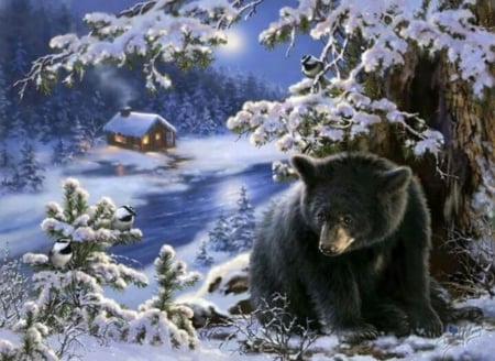 Winter Bear - Water, Snow, Bear, Tree, Winter, House