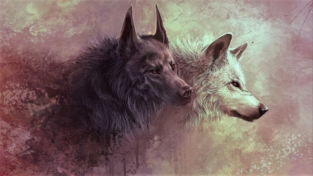 Wolves - white, wolf, art, couple, lup, fantasy, black