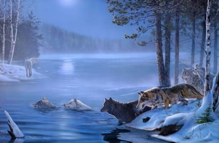 Wolves - lake, lup, water, night, wolf, painting, art, blue, animal, pictura