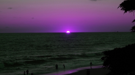 purple sunset - nature, sky, beach, ocean, beautiful, sunset