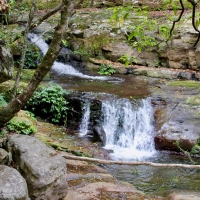 Minnamurra Falls, Budderoo National Park, NSW Australia.