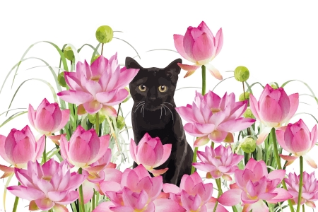 Black kitten - lotus, summer, flower, pink, cat, black, fantasy, kitten, pisici, vara, luminos